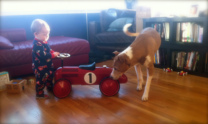 10-9-12_conor_racecar_eldog